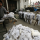 A worker arranges fox fur at a private fur workshop in Jiaxing, Zhejiang province March 11, 2013. REUTERS/William Hong